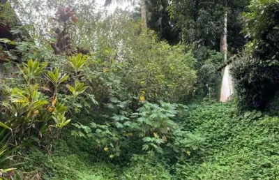 Terreno à venda na rua jacob eisenhuth, --, atiradores, joinville por r$ 1.400.000