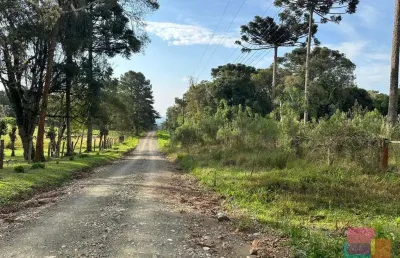 Terreno à venda na otto zschoerper, --, campestre, campo alegre por r$ 750.000