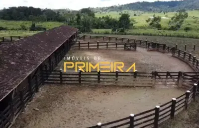Terreno à venda na Linha 204 - Rondominas, 1, Zona Rural, Ouro Preto do Oeste