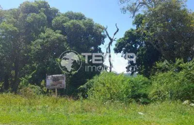 Oportunidade boqueirao, localizado no residencial mirante - guarapuava - pr
