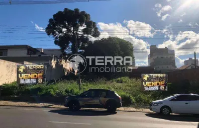 Terreno centro de guarapuava de 20x46 - rua vicente machado