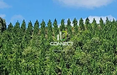 Fazenda à venda, 4477000 m² por r$ 28.000.000,00 - zona rural - bocaiúva do sul/pr