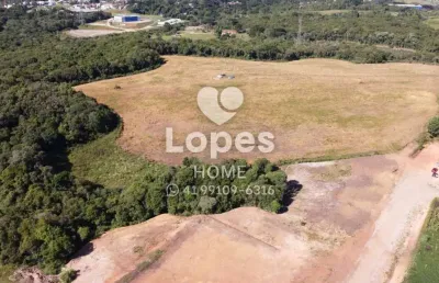 Terreno comercial à venda na rua maria dalprá berlesi, 99, canguiri, colombo, 20000 m2 por r$ 3.000.000