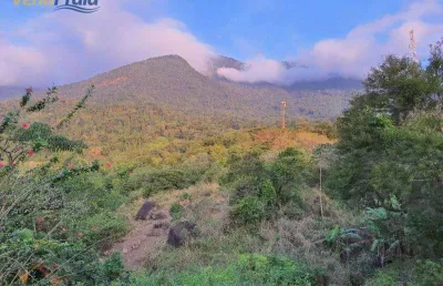 Terreno à venda, 29354 m² por r$ 5.000.000,00 - são pedro - ilhabela/sp