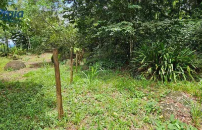 Terreno à venda, 3118 m² por r$ 1.500.000,00 - são pedro - ilhabela/sp