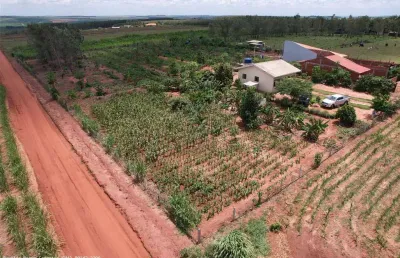Sítio / chácara para venda em presidente castelo branco, area rural ., 2 dormitórios, 2 banheiros