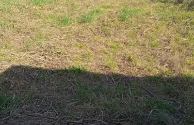 Terrenos para venda em itupeva no bairro nova monte serrat