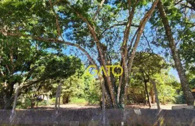 Terreno residencial à venda, ipês (polvilho), cajamar - te0045.