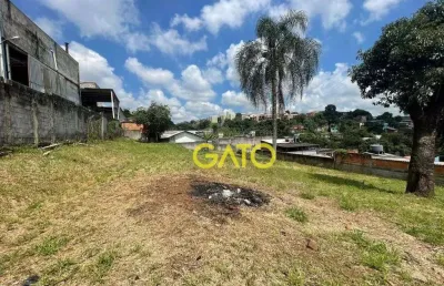 Terreno industrial à venda, paraíso (polvilho), cajamar - te0049.