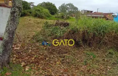 Terreno à venda no Balneário São Januário, Ilha Comprida 