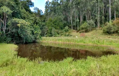 Sitio com 350.900m² -  bairro do jacaré santa branca