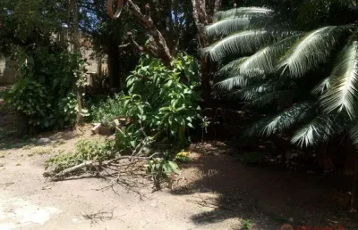 Fazenda à venda na Cidade Salvador, Jacareí 