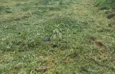 Terreno à venda no Loteamento Villa Branca, Jacareí 