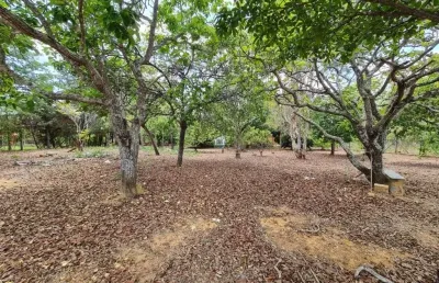 Terreno à venda, 1000 m² por r$ 210.000,00 - condomínio estância da mata - lagoa santa/mg