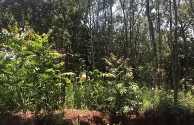 Terreno à venda no parque niágara, campo limpo paulista  por r$ 170.000