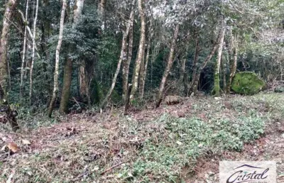 Terreno residencial à venda, caucaia do alto, cotia - .