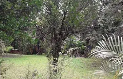 Terreno residencial à venda, chácara canta galo, cotia - .