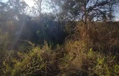 Terreno à venda na Avenida das Palmeiras, Duque de Caxias, Betim