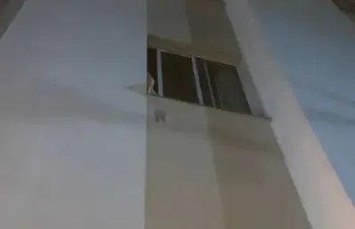 Lindo apto no bairro alvorada em contagem com elvador