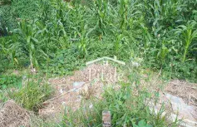 Terreno à venda, 150 m² por r$ 60.000 - jardim japão (caucaia do alto) - cotia/sp