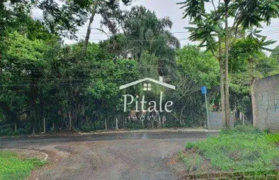 Terreno à venda, 2960 m² por r$ 440.000,00 - embu mirim - itapecerica da serra/sp