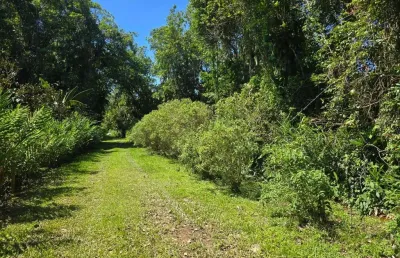 Chácara à venda em paraty-rj, no rio dos meros, com 5.000m² de área: uma oportunidade única!