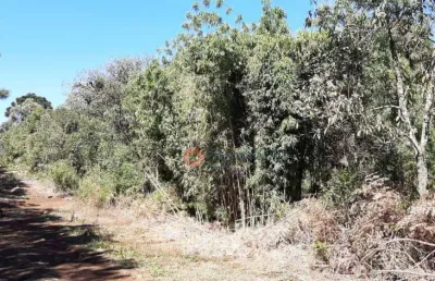 Fazenda à venda no Guará, Guarapuava 