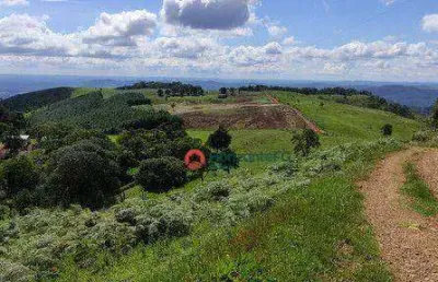 Fazenda de 125 alqueires, 45 alqueires de pasto à 43 km de guarapuava pr.