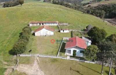 Sítio à venda, 32 alqueires - 21.5 alqueires mecanizadosirati/pr