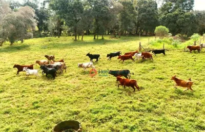 Chácara com 2 dormitórios à venda, 8 alqueires por r$ 1.900.000,00 - centro - turvo/pr