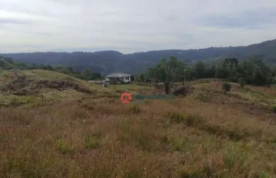 Chácara com 4 alqueires à venda, 108900 m² por r$ 700.000,00 - guabiroba - guarapuava/pr