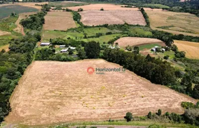 Chácara à venda, 10 alqueires por r$ 4.000.000 - palmeirinha - guarapuava/pr