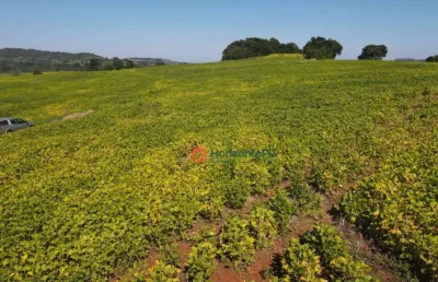 Fazenda à venda, 275 alqueires por r$ 46.750.000,00 - zona rural  - pr.