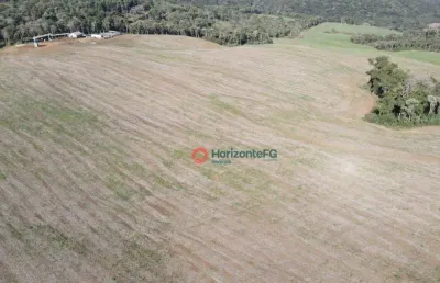 Sítio à venda, 37.8 alqueires por r$ 8.500.000 - centro - guará (guarapuava)/pr