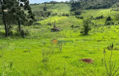 Chácara à venda, 05 alqueires por r$ 1.300.000 - guarapuava/pr