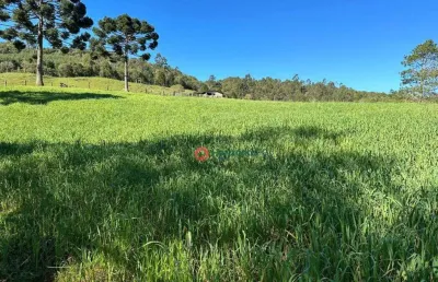 Chácara / sítio com 3 quartos à venda na Área Rural de Guarapuava, Guarapuava 