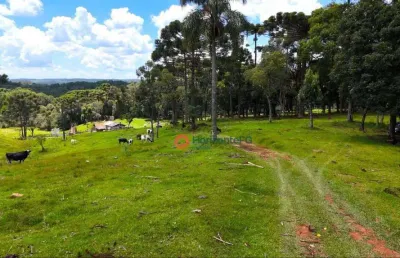 Chácara à venda, 18 alqueires por r$ 1.500.000,00 - zona rural - guarapuava/pr
