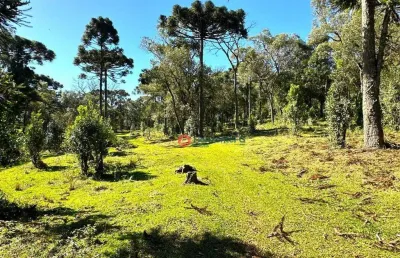 Chácara à venda, 29,03 alqueires por r$ 2.200.000 - guará - guarapuava/pr