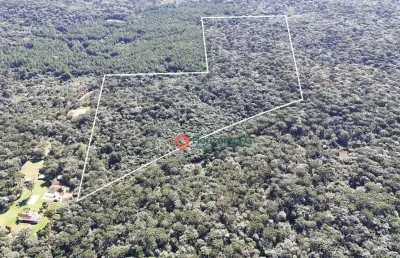 Área à venda, 13.28 alqueire por r$ 850.000 - palmeirinha - guarapuava/pr