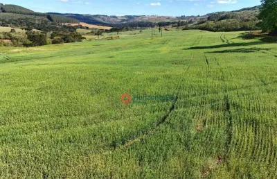Chácara à venda, 10.6 alqueires por r$ 2.300.000 - zona rural - guarapuava/pr