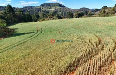 Chácara à venda, 3 hectares por r$ 380.000 - jordão - guarapuava/pr