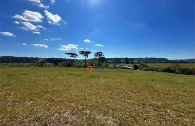 Chácara / sítio com 3 quartos à venda no Palmeirinha, Guarapuava 