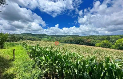 Chácara com 8 alqueires à venda, 193600 m² por r$ 2.500.000 - guairacá - guarapuava/pr