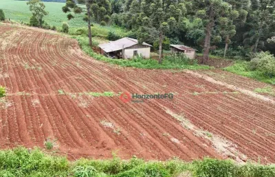 Chácara com 3,1 hectares à venda, por r$ 550.000 - zona rural - guarapuava/pr