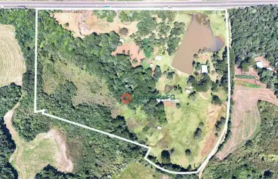 Chácara à venda, 5,8 alqueires por r$ 3.000.000 - br 277 - guarapuava/pr