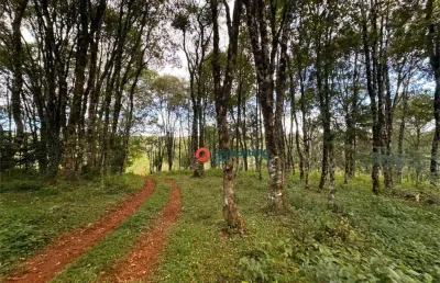Fazenda à venda no Palmeirinha, Guarapuava 