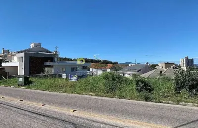 Terreno em avenida à venda, 502 m² por r$ 650.000 - pedra branca - palhoça/sc