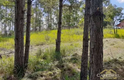 Terreno à venda, 3200 m² por r$ 660.000,00 - caxambu - jundiaí/sp