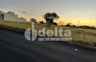 Terreno disponível para venda 250 m² no bairro residencial fruta do conde em uberlândia-mg
