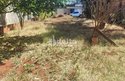 Terreno disponível para venda 300 m² no bairro custódio pereira em uberlândia-mg